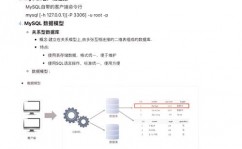 mysql条件判别,灵敏操作数据的要害