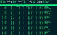 linux检查进程,Linux体系下检查进程的有用办法