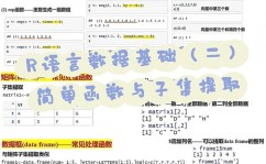 r言语rep,仿制元素的艺术