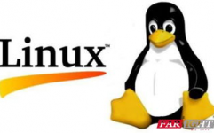 linux开发工程师,引领未来操作体系开展的技能前锋