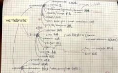 oracle仿制表数据