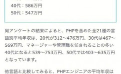 php公司,PHP公司的开展现状与未来展望