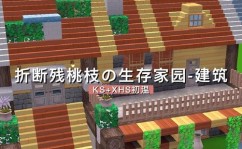 rust怎样晋级修建,进步你的生计家乡