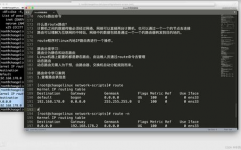 linux检查路由指令,Linux检查路由指令详解