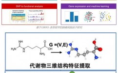 代谢组学机器学习,解析生物体内代谢奥妙的新东西