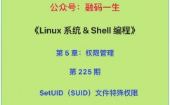 linux给用户赋予权限, 文件权限