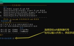 linux的ssh,什么是SSH？