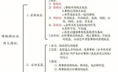 vue难学吗,Vue难学吗？揭秘Vue学习的应战与时机