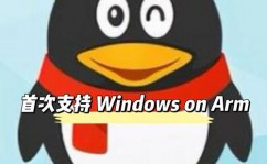 linux版别qq,跨渠道交际体会，轻松衔接国际