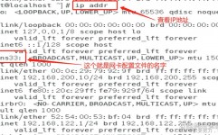 java获取本机ip, 运用`InetAddress.getLocalHost()`获取本机IP地址