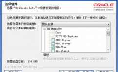 oracle客户端,衔接数据库的桥梁