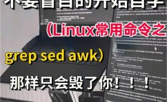 linux检查用户所属组, 什么是用户组