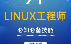 linux网卡,Linux网卡概述