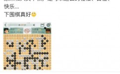 柯洁对战阿尔法go,围棋界的里程碑事情