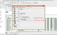 plsql装备数据库衔接,PL/SQL装备数据库衔接详解