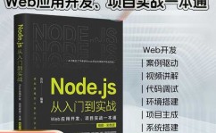 nodejs数据库,浅显易懂Node.js数据库运用开发