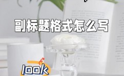 html文字标签,表明第一流其他标题，一般用于网页的主标题。