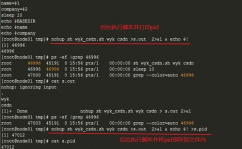 linux杀死进程,什么是进程？