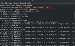 linux装置samba,Linux体系下Samba服务器的装置与装备攻略