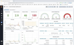 oracle数据库优化,Oracle数据库优化的重要性