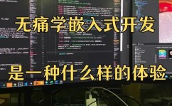 嵌入式程序规划,中心技能与运用实践