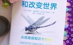 大数据开展进程有哪几个阶段,大数据开展进程概述