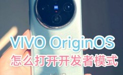 vivo手机的开发者选项在哪里,全面解析敞开办法