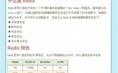 redis是内存数据库吗,揭秘内存数据库的奥妙