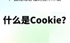 vue获取cookie, 什么是Cookie