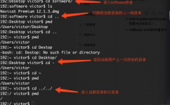 linux检查文件权限的指令,Linux检查文件权限的指令详解