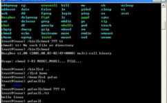 linux履行程序,从入门到通晓