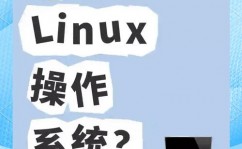 linux版,从装置到日常运用