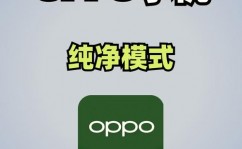 oppo手机开发者形式,什么是OPPO手机开发者形式？