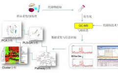 代谢组学数据库,生物信息学的重要东西