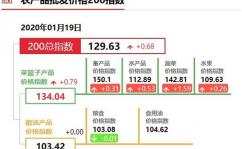 开源物流全球运价体系,打造通明高效的跨境物流处理计划