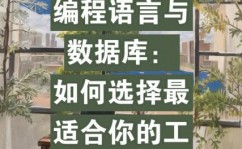 数据库言语,了解其重要性与运用