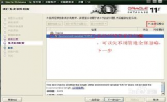 oracle11g装置