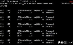 linux检查pid对应的进程,什么是PID？