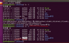 python调用linux指令,深化解析Python调用Linux指令的多种办法