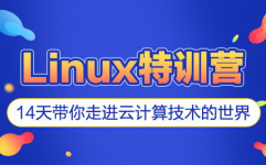 在线linux训练,敞开你的技能之旅