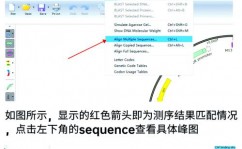 MySQL检查有哪些数据库, 什么是数据库