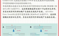 oracle数据搬迁计划,高效、安全、安稳的搬迁战略