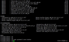 linux检查docker版别,Linux体系中检查Docker版别的办法详解