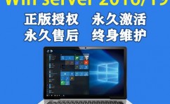 windows2003产品密钥,Windows Server 2003 产品密钥获取与运用攻略