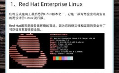 linux之父,林纳斯·托瓦兹的传奇人生