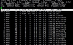 linux服务器内存,确诊、优化与监控