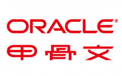 oracle甲骨文,Oracle公司的中文姓名背面的文明内在