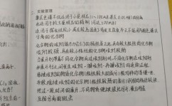 鸢尾花分类机器学习,机器学习在植物辨认中的运用