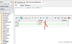 oracle数字类型,Oracle数字类型概述