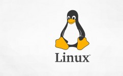 开源体系linux,Linux体系的魅力与价值